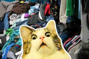 Horrified cat meme in front of a mountain of laundry chaos, capturing the sheer panic of tackling laundry day.