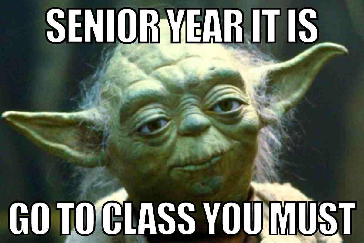 senior year meme funny senior year it is go to class you must