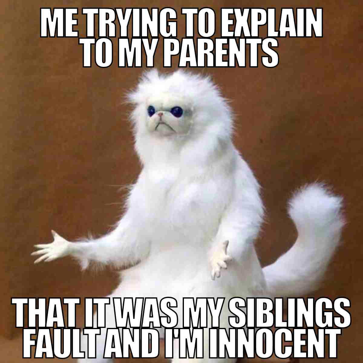 siblings fault meme A meme featuring the confused cat, mirroring that classic sibling move where you swear it was all them, not you. The text humorously reads: 'Me trying to explain to my parents that it was my sibling's fault and I'm innocent.' Classic case of 'blame the sibling' with a touch of existential cat confusion.