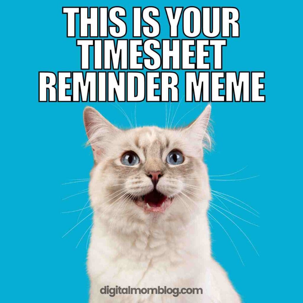 timesheet reminder meme 1 A cheerful cat meme reminding you to fill out your timesheet, because even cats know Mondays need extra motivation.