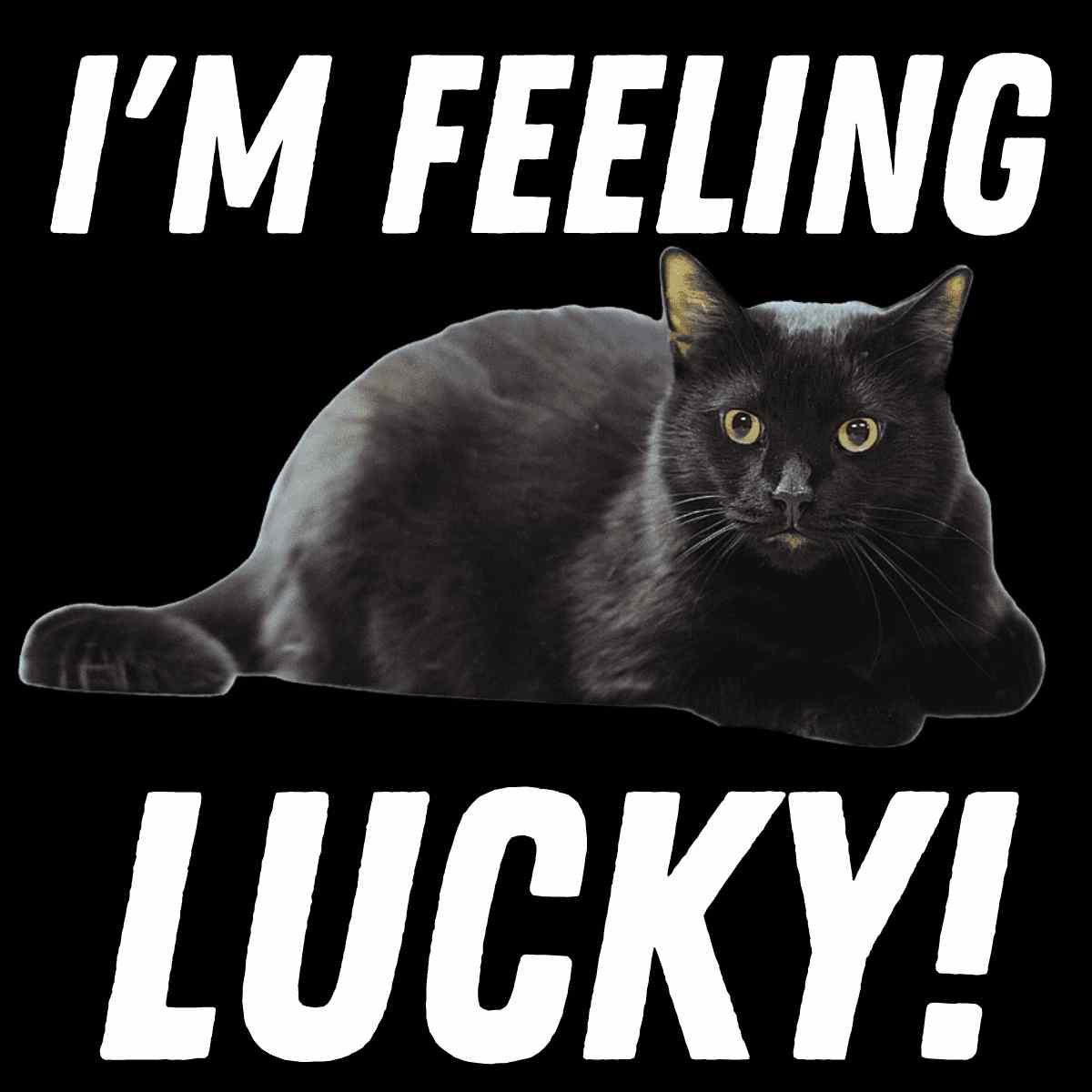 Friday the 13th lucky meme A black cat lounging confidently on a black background with the words 'I'm Feeling Lucky!' above. Perfect Friday meme energy—because if anyone’s got that lucky weekend vibe, it’s definitely this chill feline!