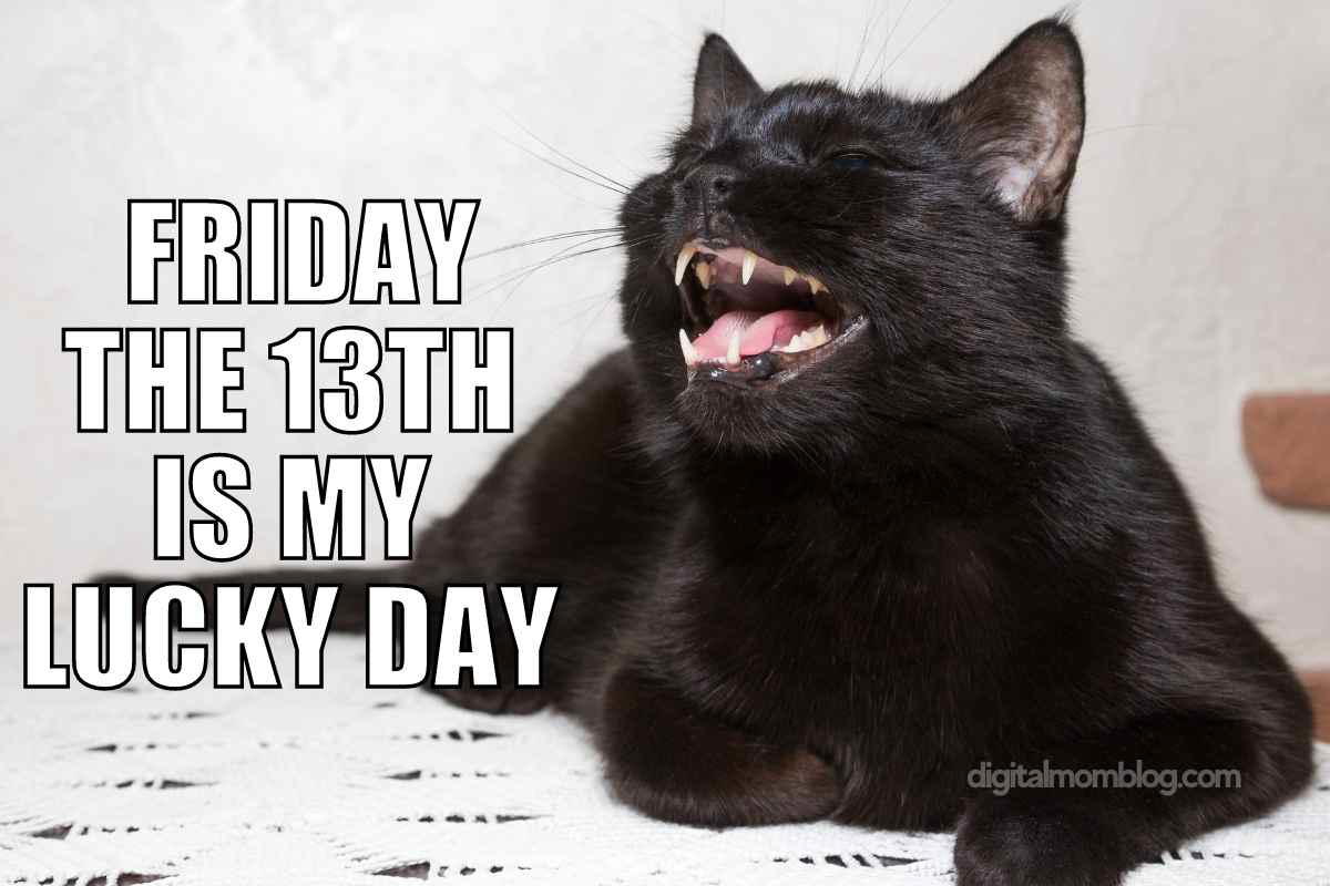 Lucky friday the 13th meme A mischievous black cat grinning with sharp teeth exposed, declaring, 'Friday the 13th is my lucky day!' because some cats know how to turn superstition into a weekend of feline fun.
