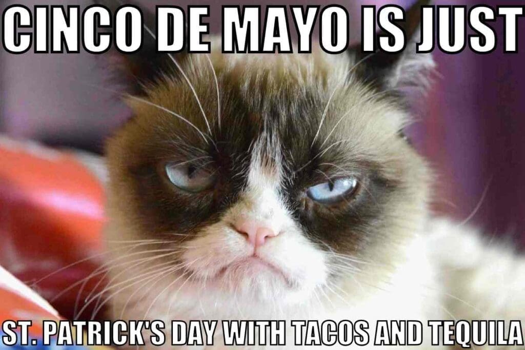 cinco de mayo tequila meme A grumpy cat meme with text saying 'Cinco de Mayo is just St. Patrick's Day with tacos and tequila,' humorously comparing the two celebrations.