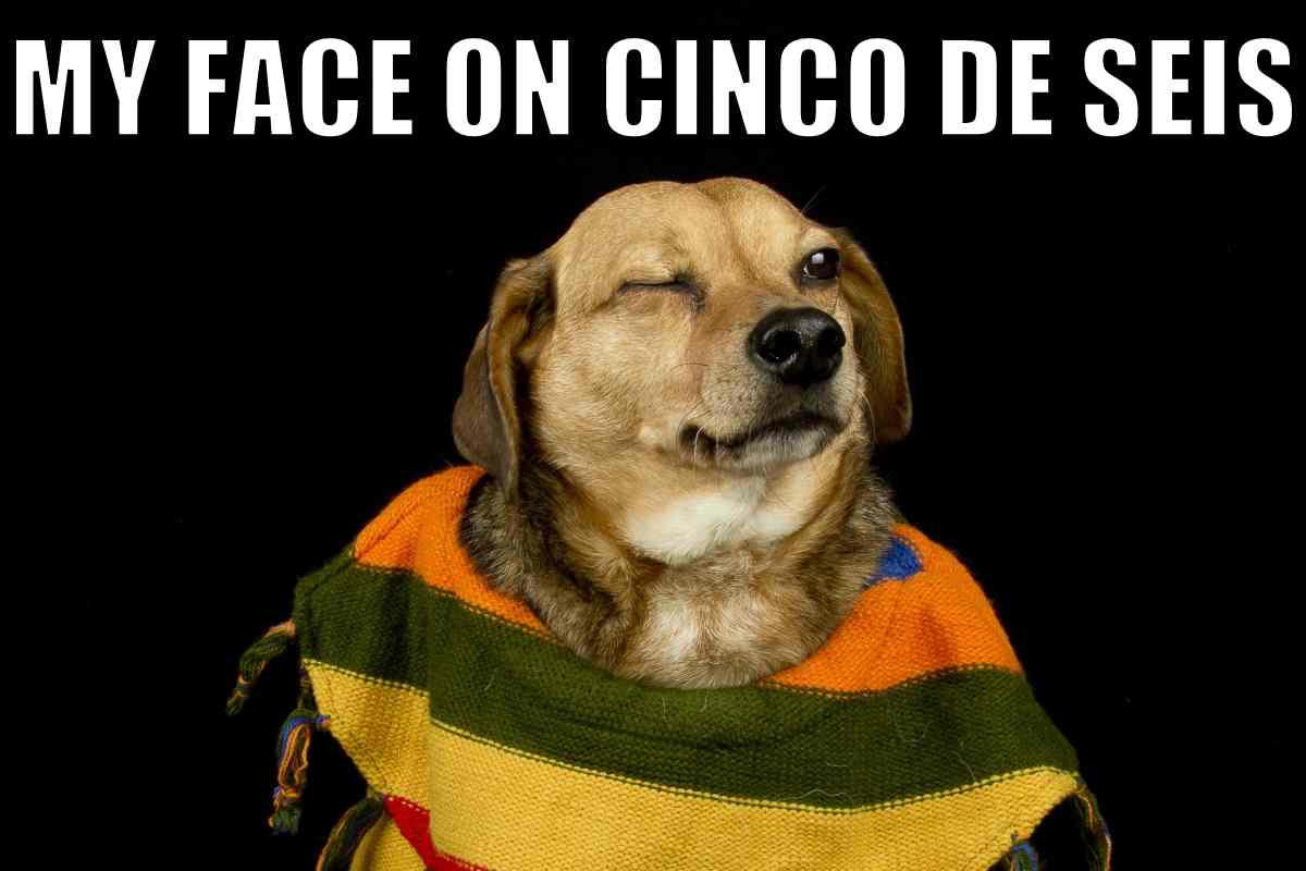cinco de seis meme cinco de seis meme