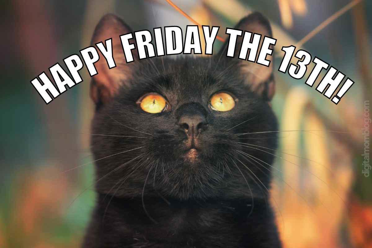 happy friday the 13th meme black cat A black cat with wide, curious eyes looks upward, surrounded by the text "Happy Friday the 13th!" This furry omen of Friday stands ready to pounce into the weekend with a mix of superstition and TGIF spirit.