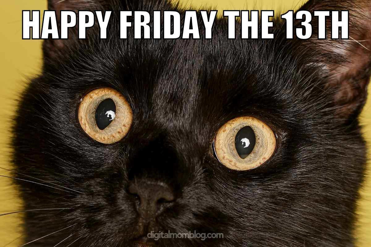 happy friday the 13th meme A wideeyed black cat stares intently, captioned with 'Happy Friday the 13th,' embodying that classic Friday meme vibe with a dash of spooky intrigue.