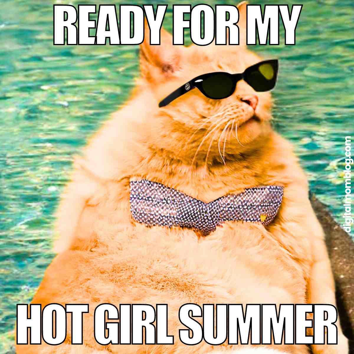 hot girl summer meme hot girl summer meme
