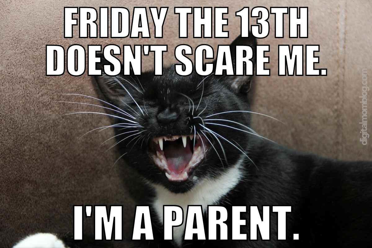 parent friday the 13th meme A fiercelooking black cat with mouth wide open, proudly declaring, 'Friday the 13th doesn't scare me. I'm a parent.' Because honestly, after surviving toddler tantrums and teen mood swings, what's a spooky Friday? #FridayMemes #ParentingWins