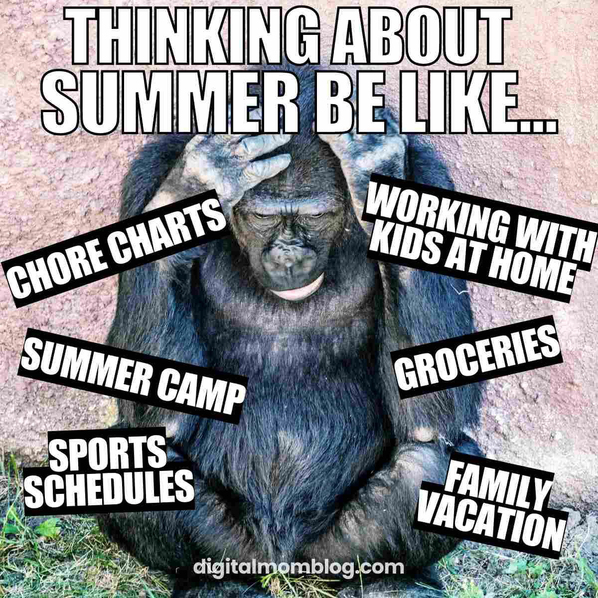 summer break meme summer break meme