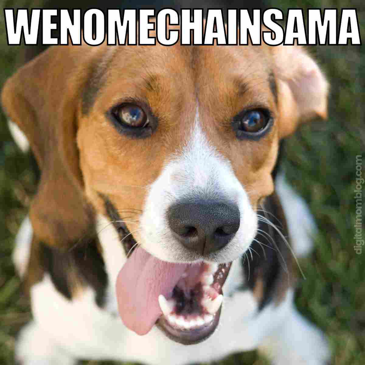 when i met you in the summer meme 1 wenomechainsama when i met you in the summer meme
