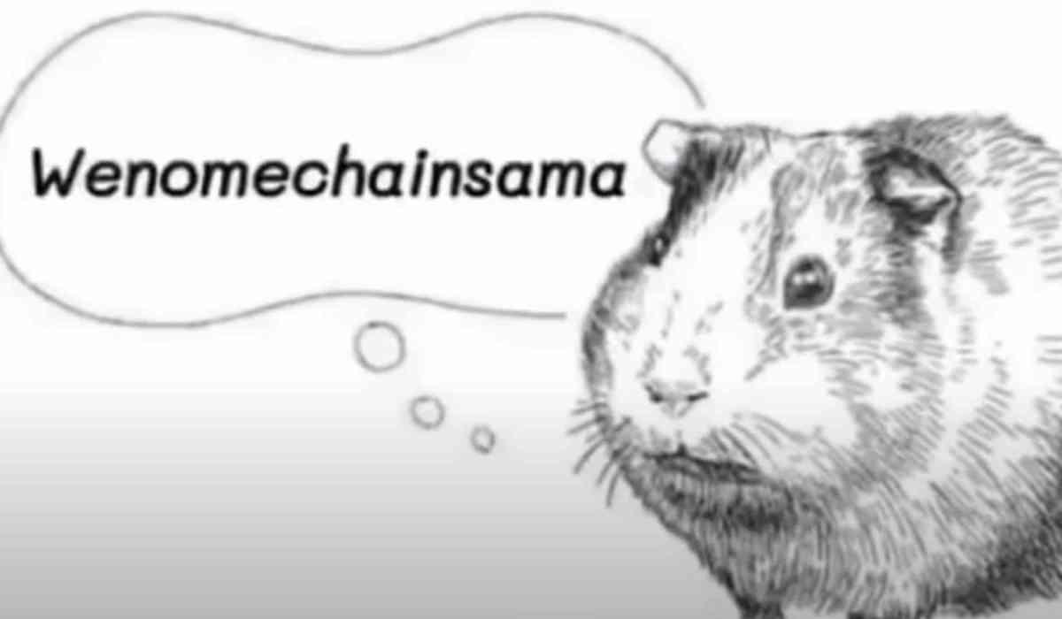 when i met you in the summer meme when i met you in the summer meme