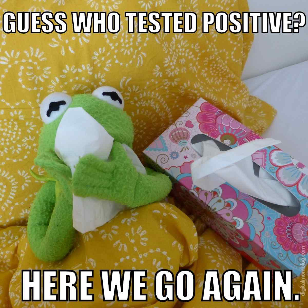 covid positive test here we go again meme covid positive test here we go again meme