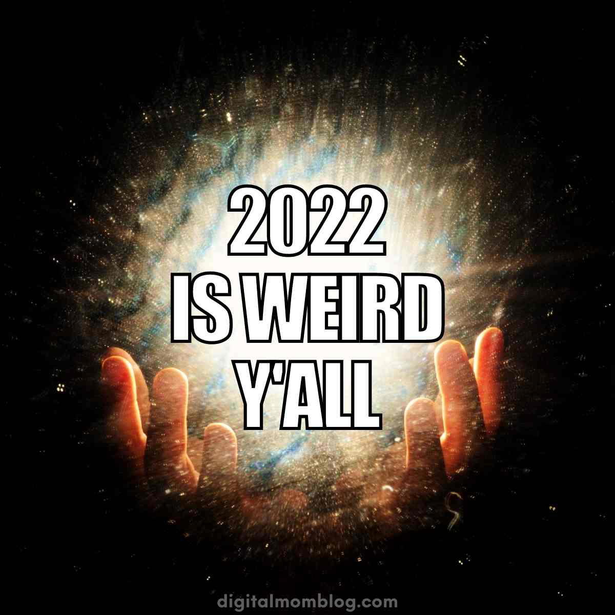 2022 cern meme 2022 cern meme