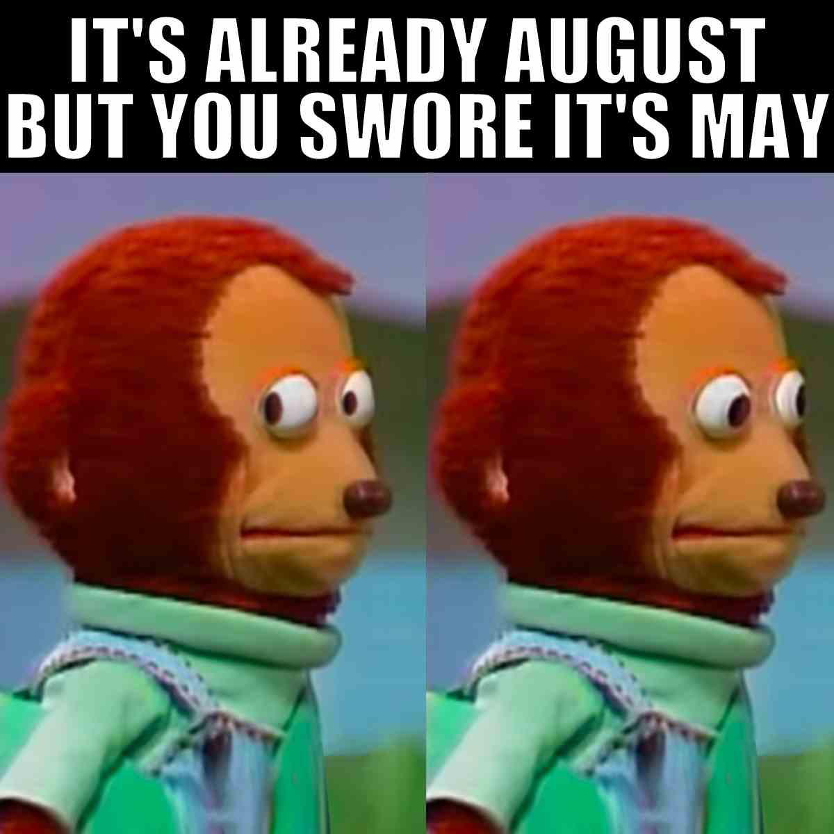 already august meme already august meme