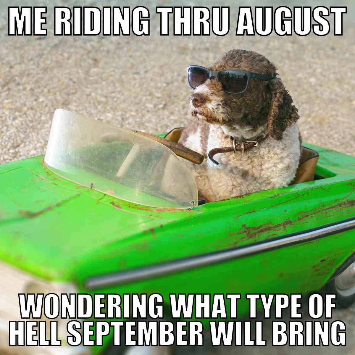 august meme august meme