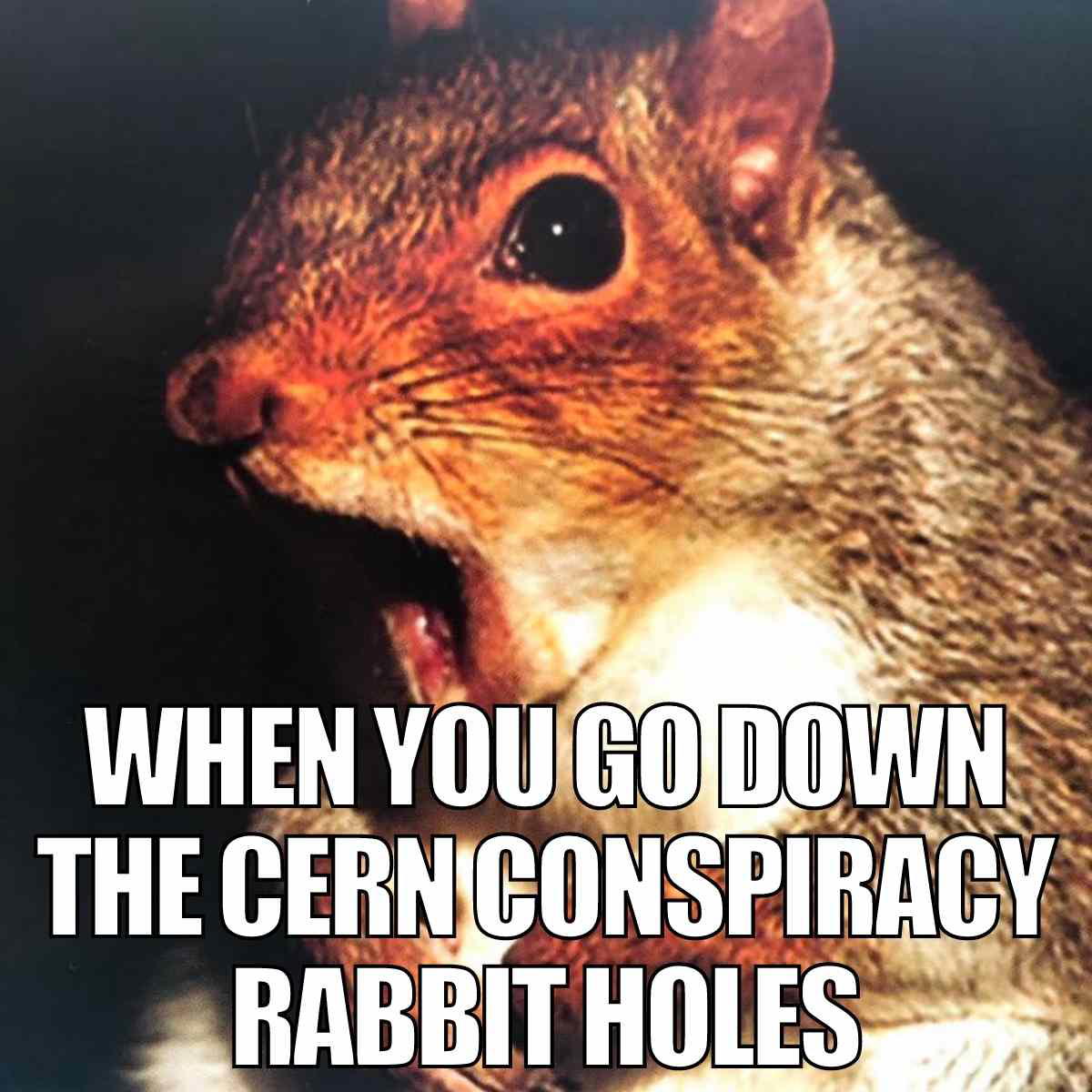 cern conspiracy meme cern conspiracy meme