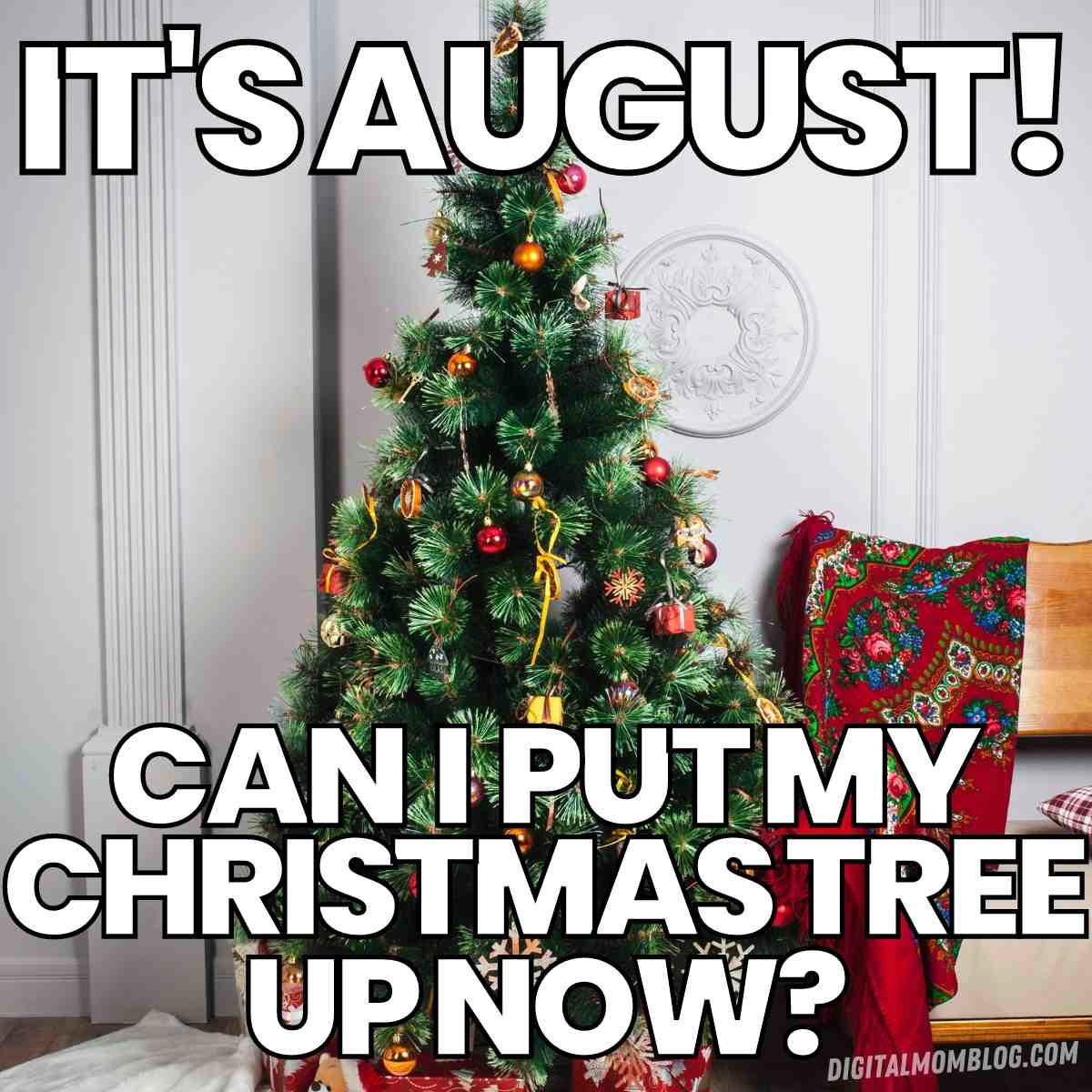 christmas tree in august meme christmas tree in august meme