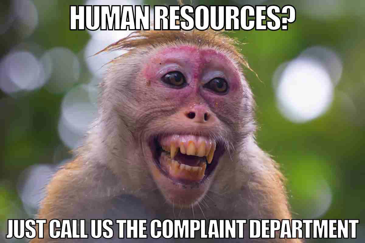 complaint department meme human resources? just call us the complaint department