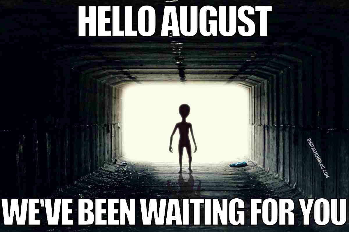 funny hello august meme funny hello august meme: i've been waiting for you