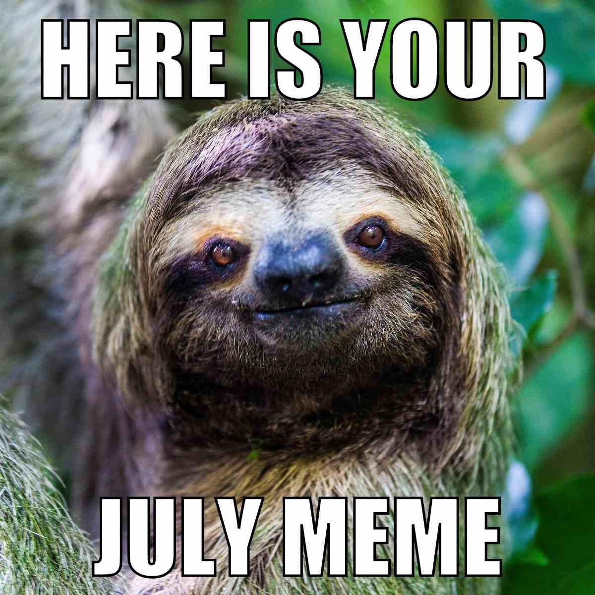 funny july meme funny july meme