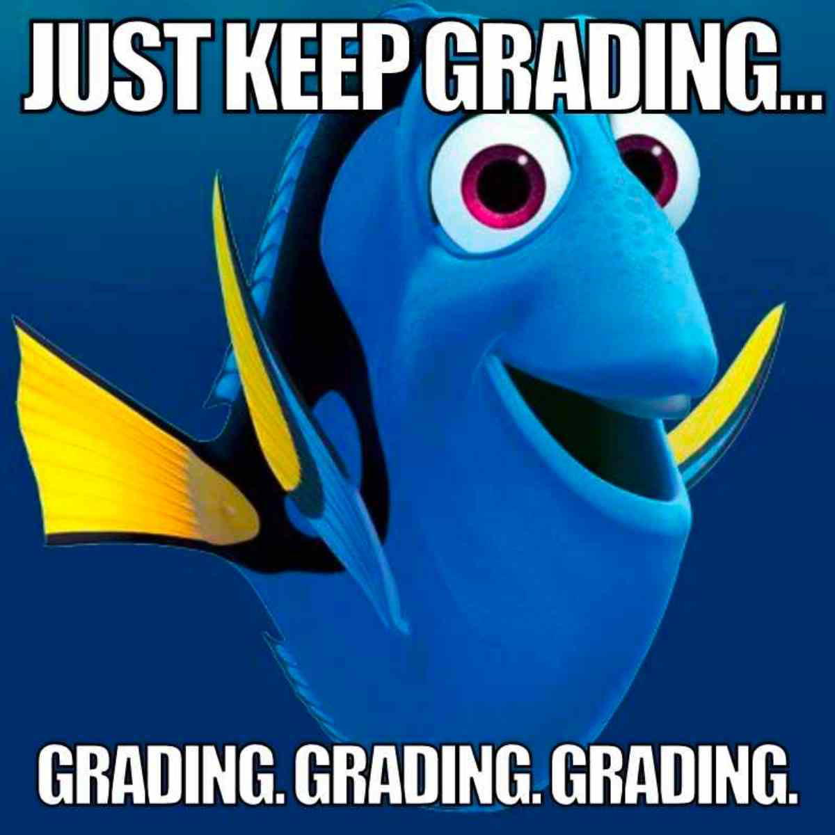 funny teacher grading meme Meme of a cheerful blue fish with the words "Just keep grading... grading, grading, grading," humorously capturing a teacher's life of endless grading.