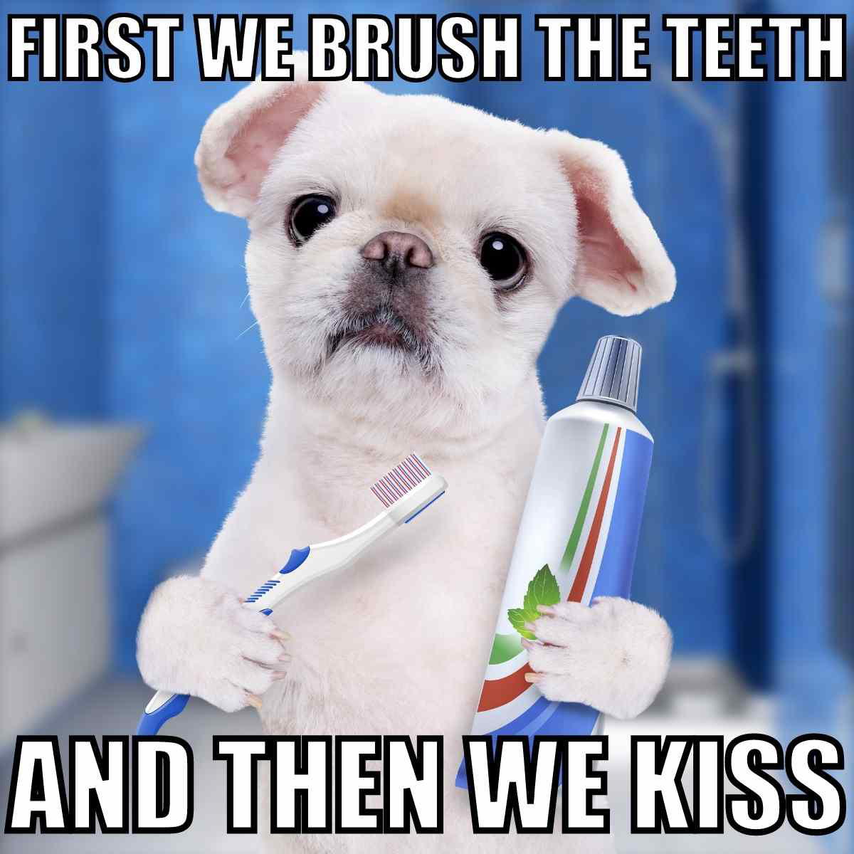 good morning kiss meme good morning kiss meme