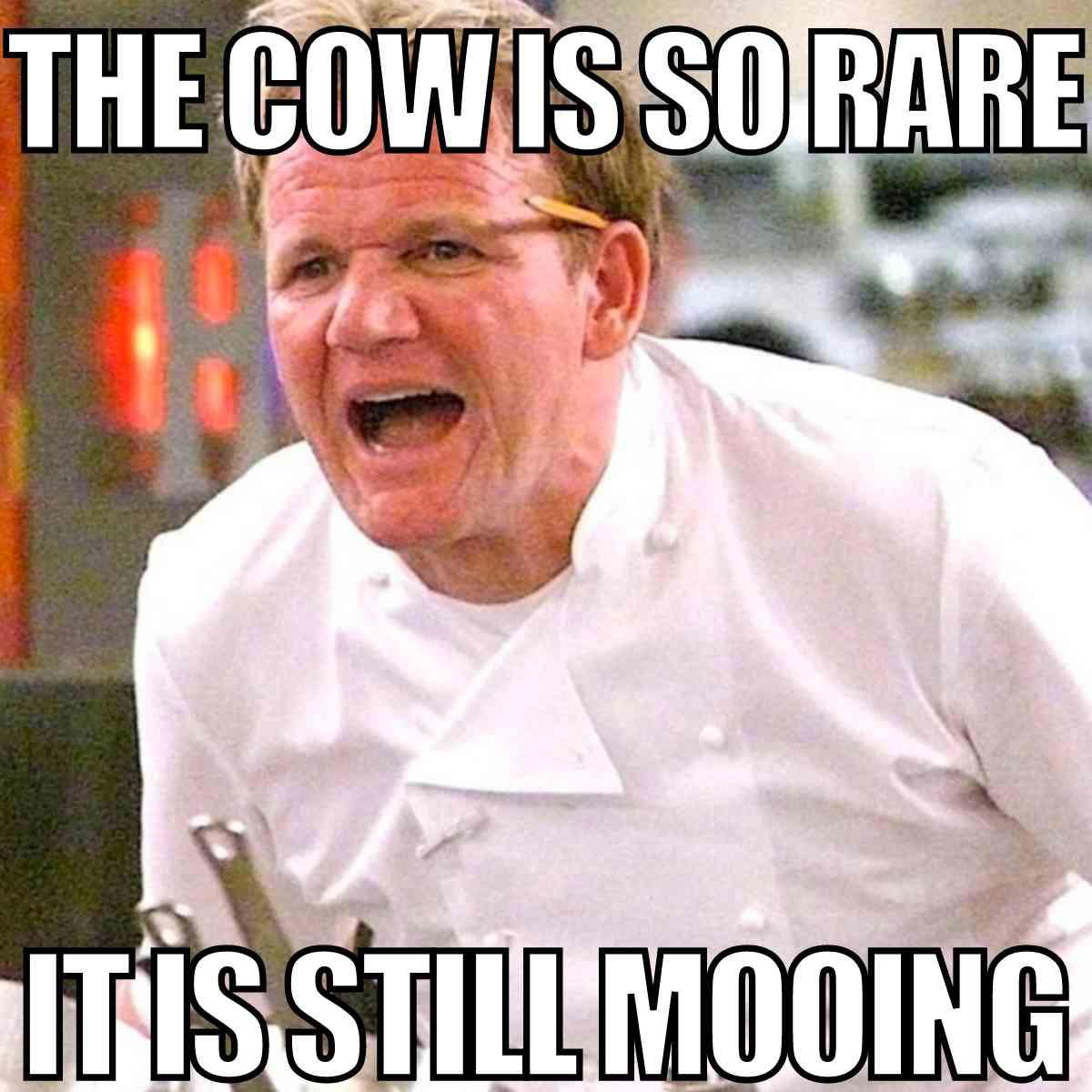gordon ramsay meme yes chef gordon ramsay meme yes chef