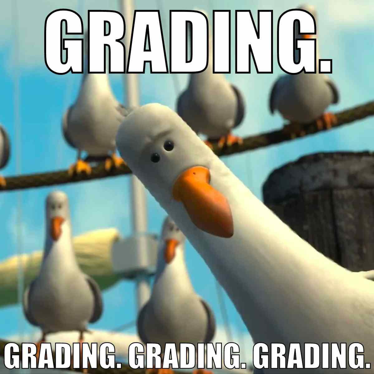 grading meme teachers Meme featuring cartoon seagulls pecking the air with the word 'GRADING'—a humorous take on teachers' endless grading tasks.