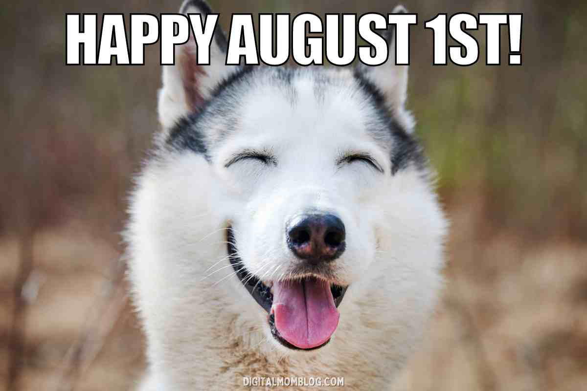 happy august 1st meme happy august 1st meme