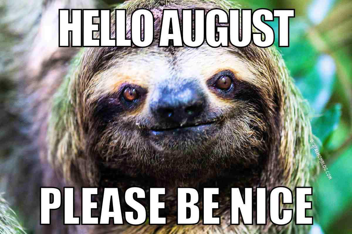 hello august meme hello august meme: please be nice