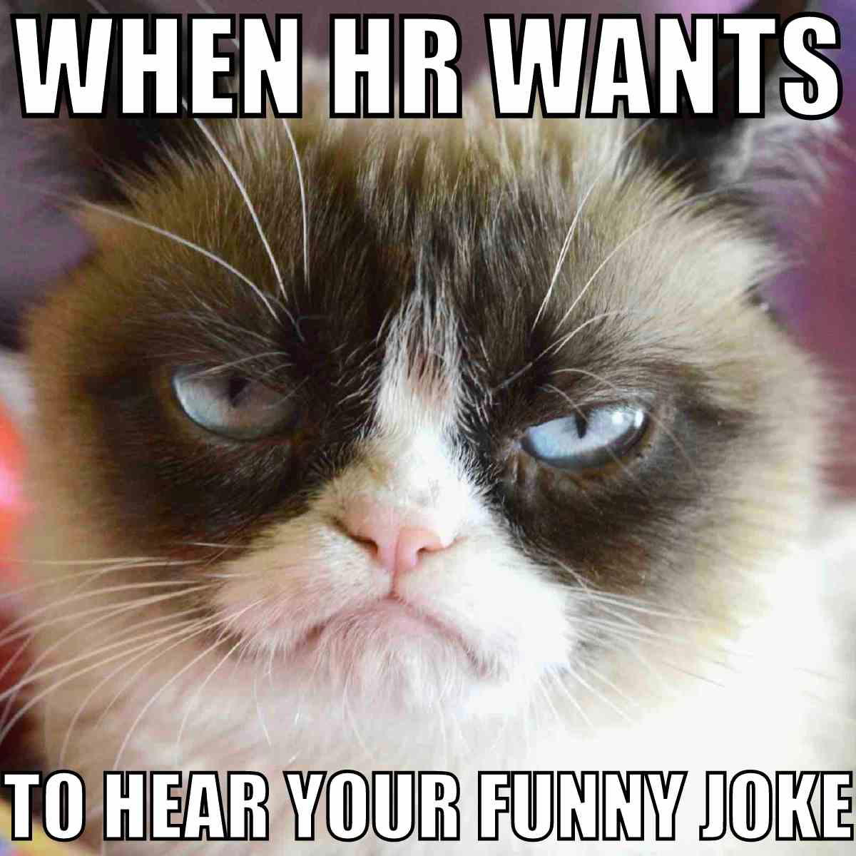 hr joke meme hr joke meme