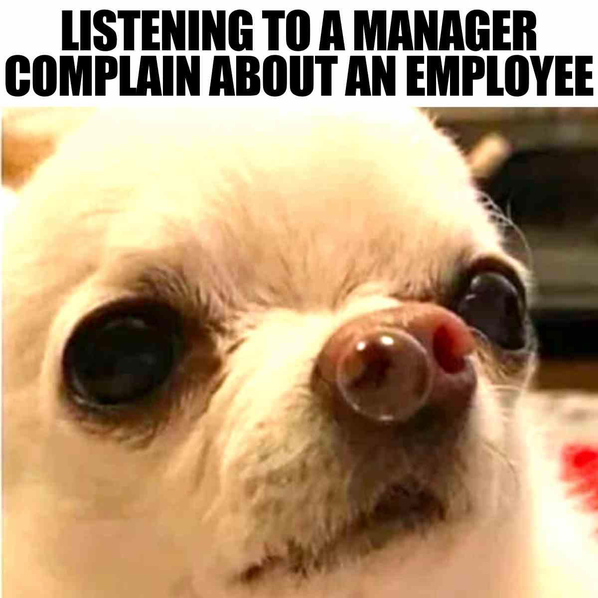 hr manager meme hr manager meme