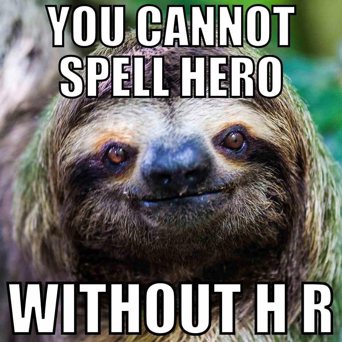 human resources meme human resources meme