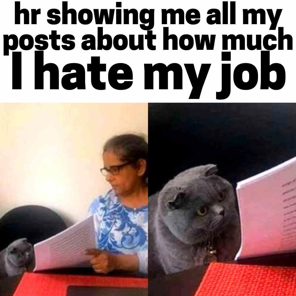 i hate my job meme Meme showing HR woman and grumpy cat both reading a document titled 'how much I hate my job,' with the cat looking particularly perturbed.