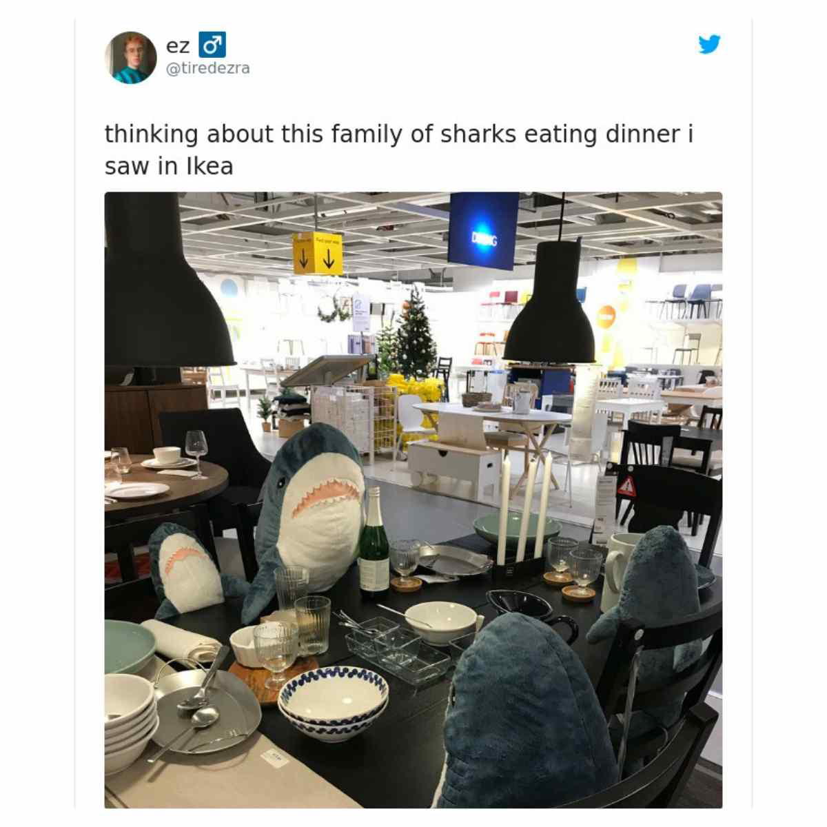ikea shark meme ikea shark meme