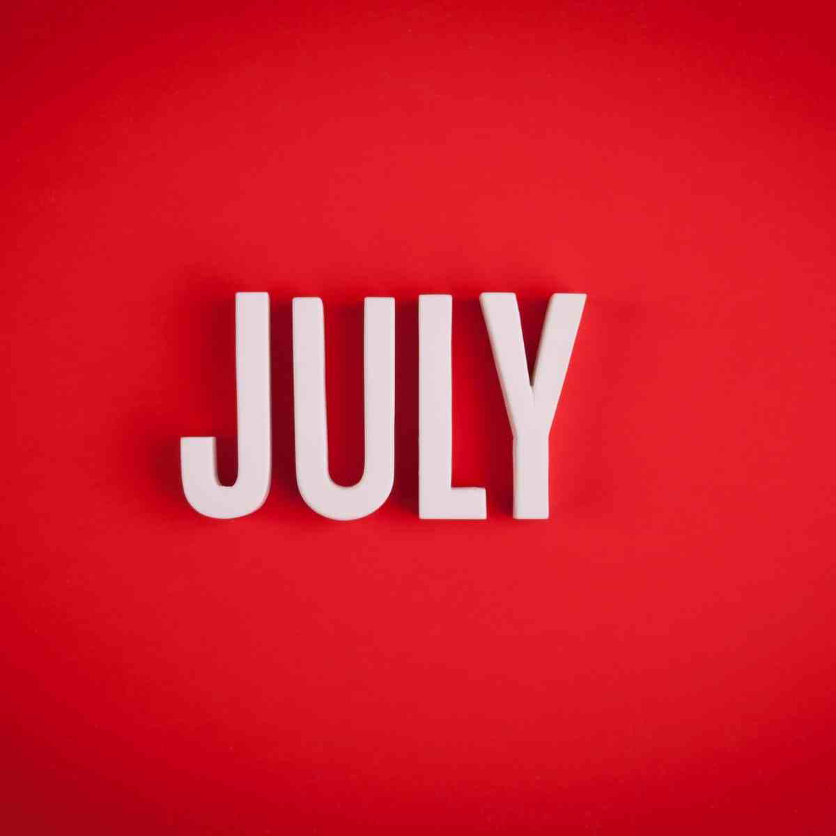 july holidays meme july holidays meme