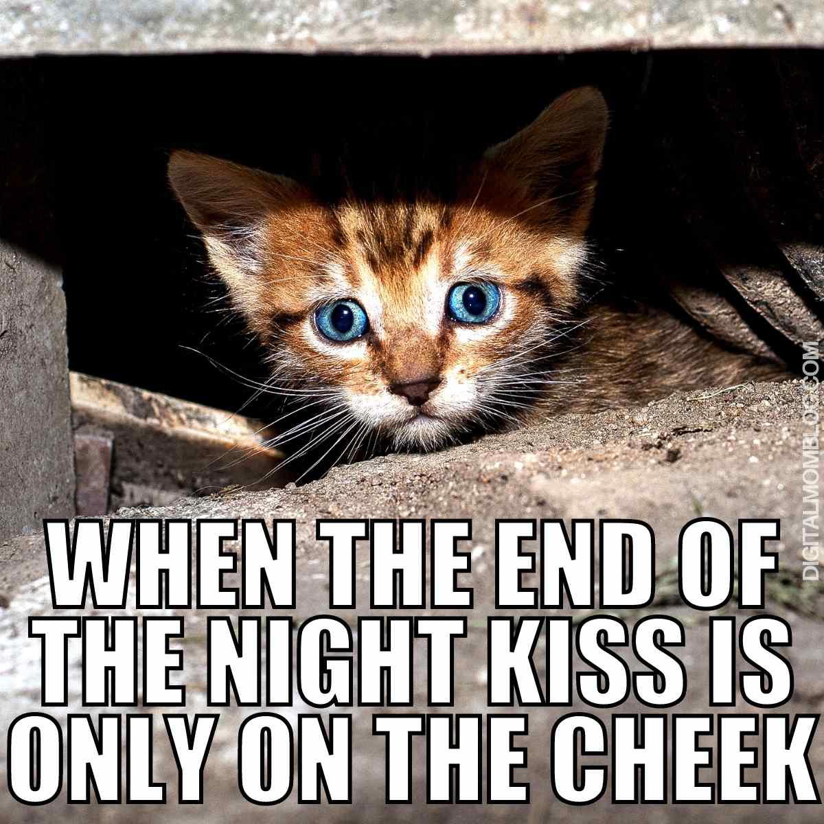 kiss on the cheek meme kiss on the cheek meme