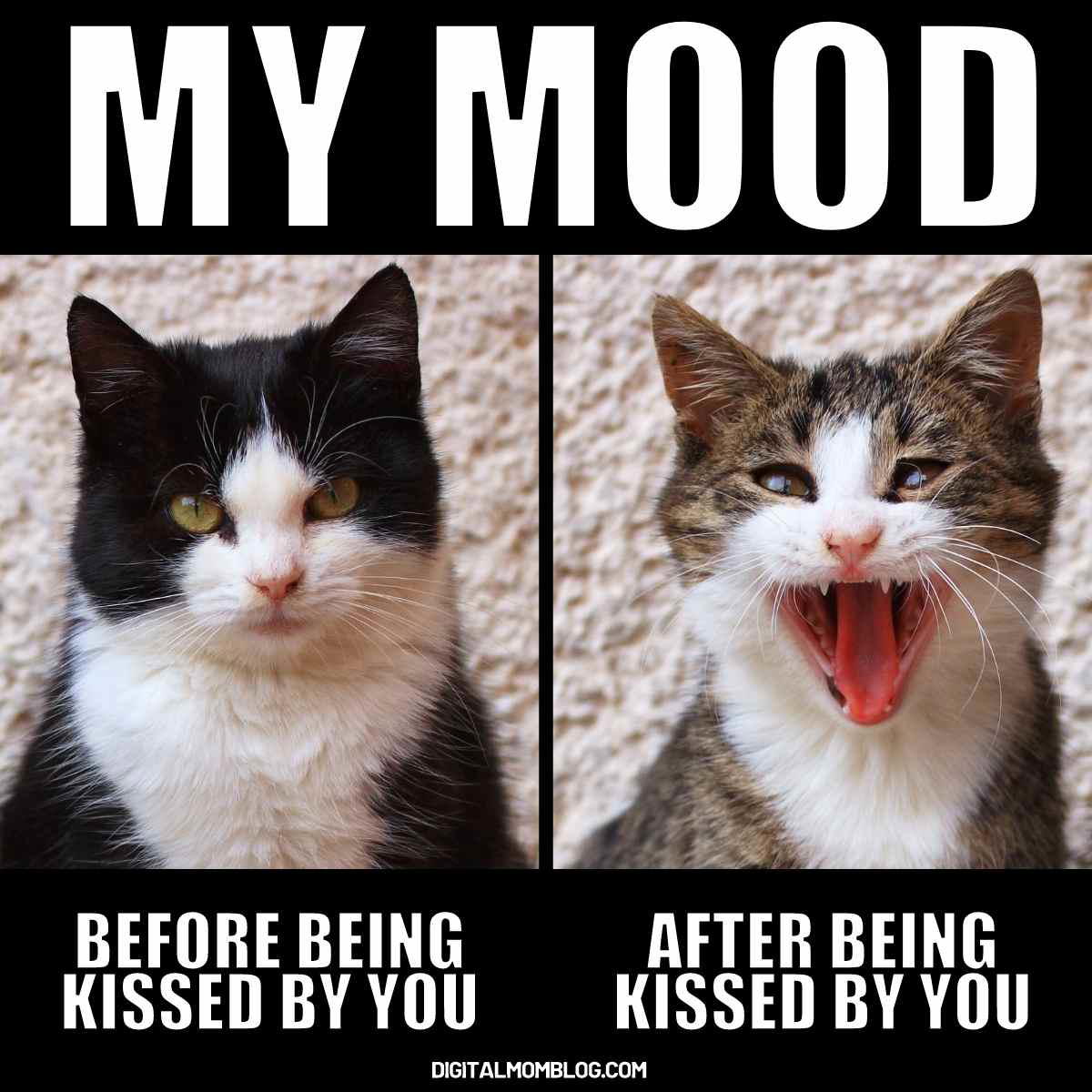 kissing you meme kissing you meme