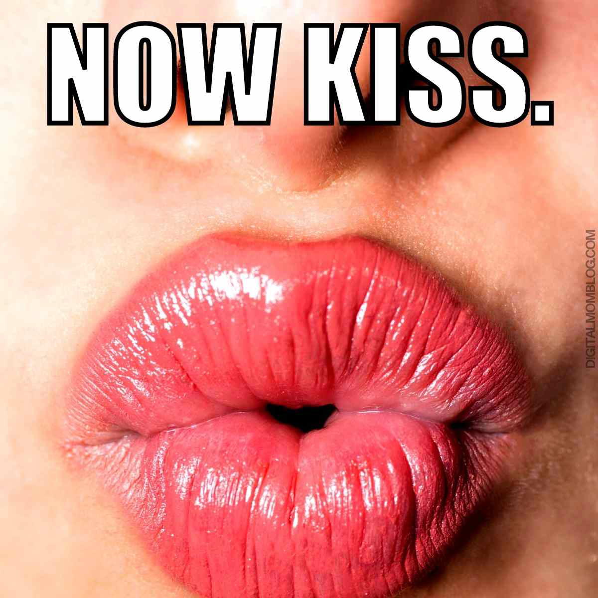 now kiss meme now kiss meme