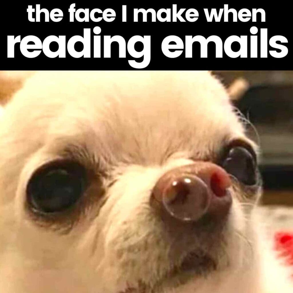reading emails meme Meme of a Chihuahua with wide eyes, captioned 'the face I make when reading emails,' humorously expressing email dread.