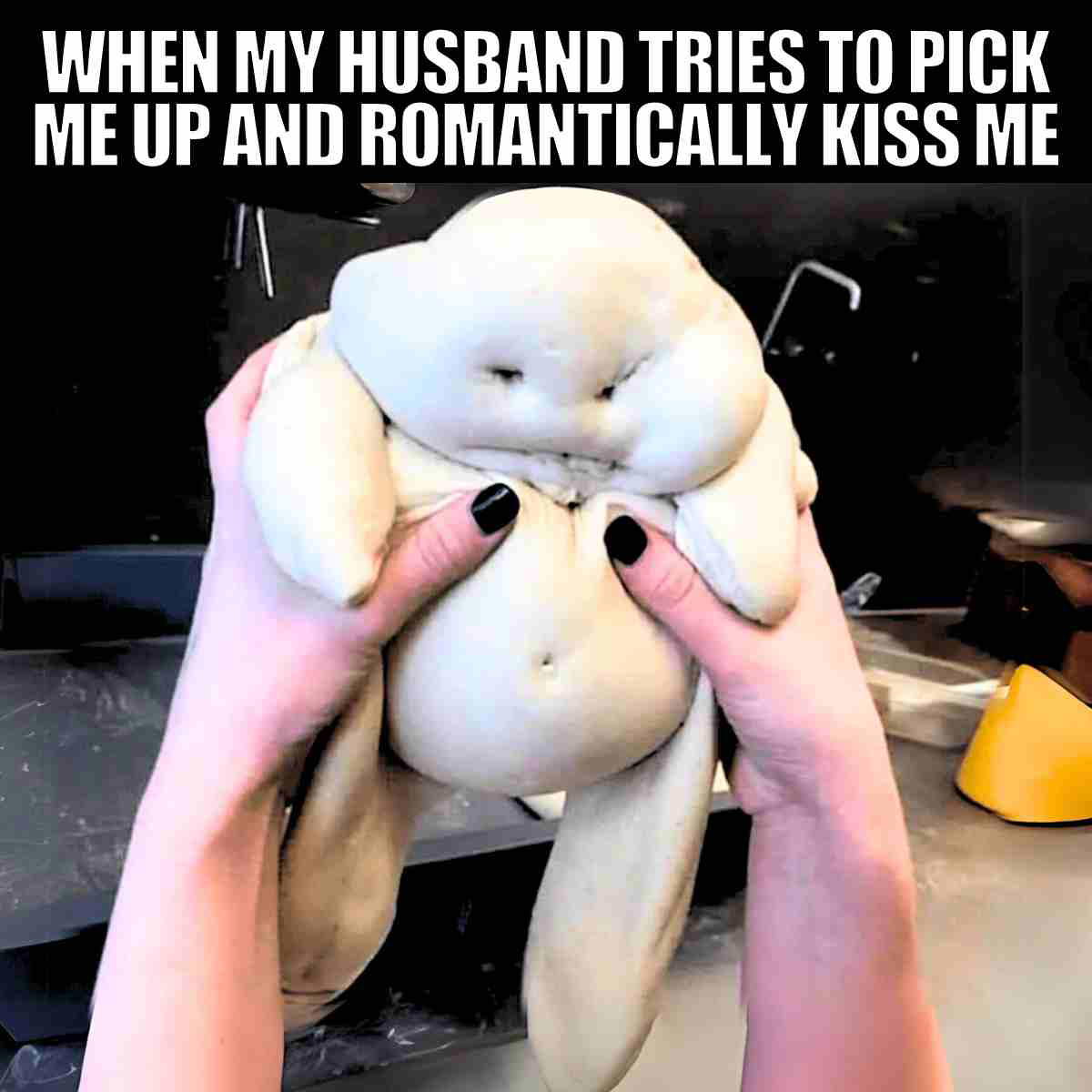 romantic kiss meme photo of blob saying when my husband tries to pick me up and romantically kiss me