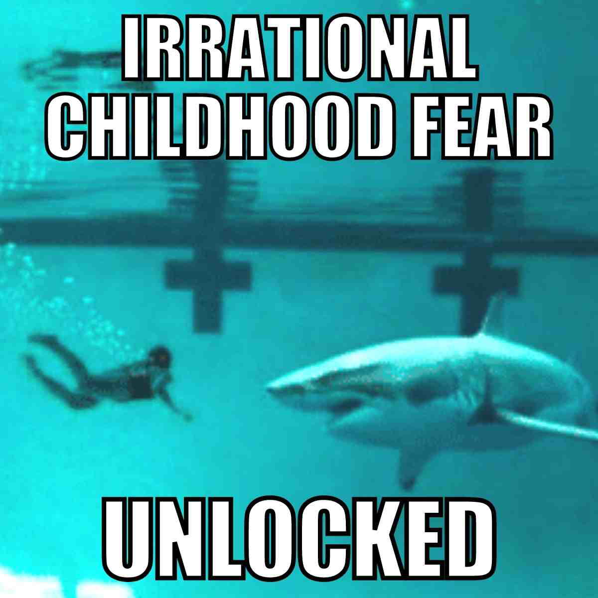 shark in pool meme shark in pool meme