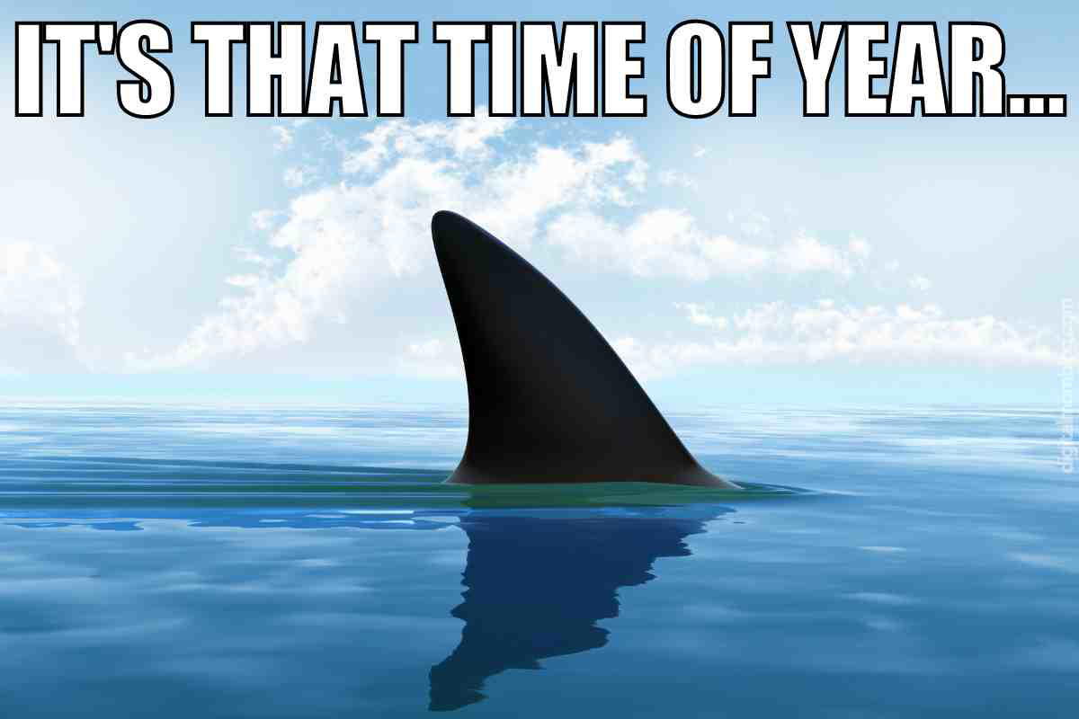 shark week memes 1 shark week memes - it's that time of year...