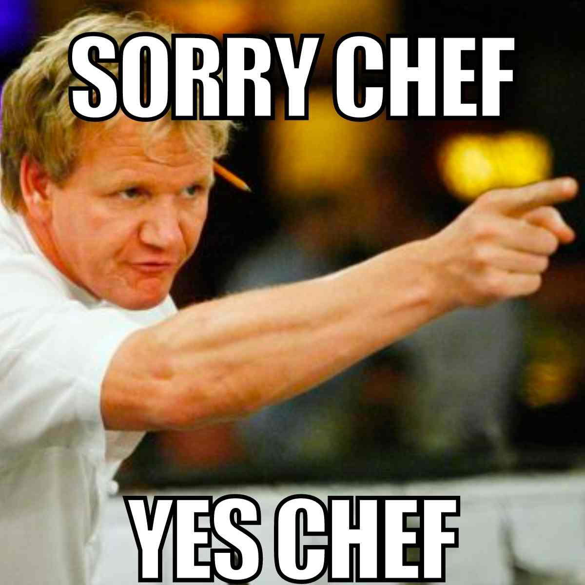 sorry chef yes chef meme sorry chef yes chef meme