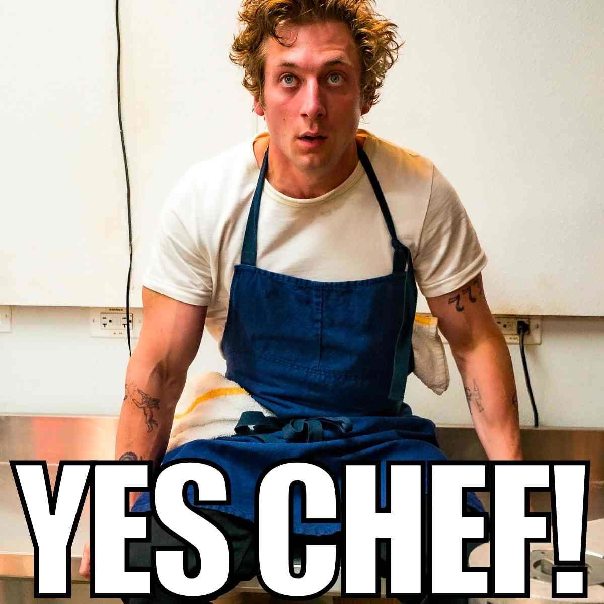 yes chef the bear meme yes chef the bear meme