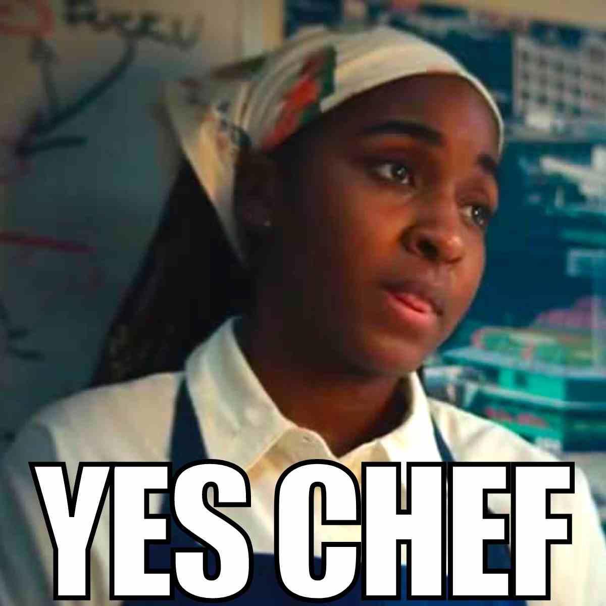 yes chef the bear sydney yes chef the bear sydney