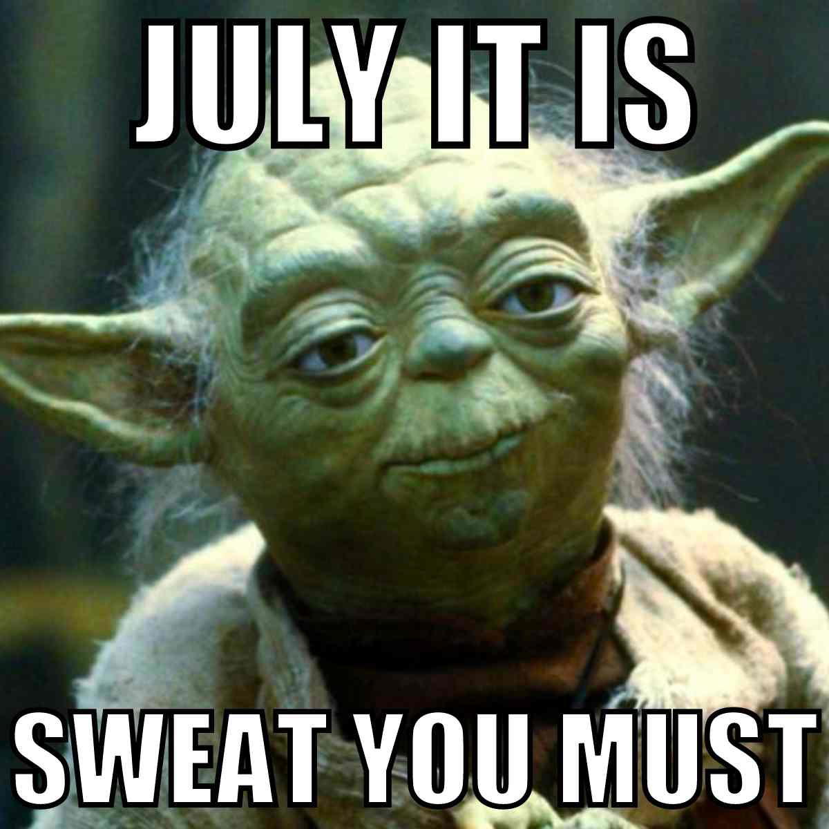 yoda july meme yoda july meme