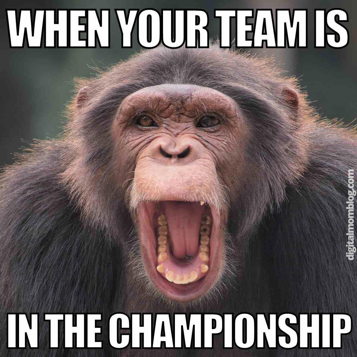 championship meme funny championship meme funny
