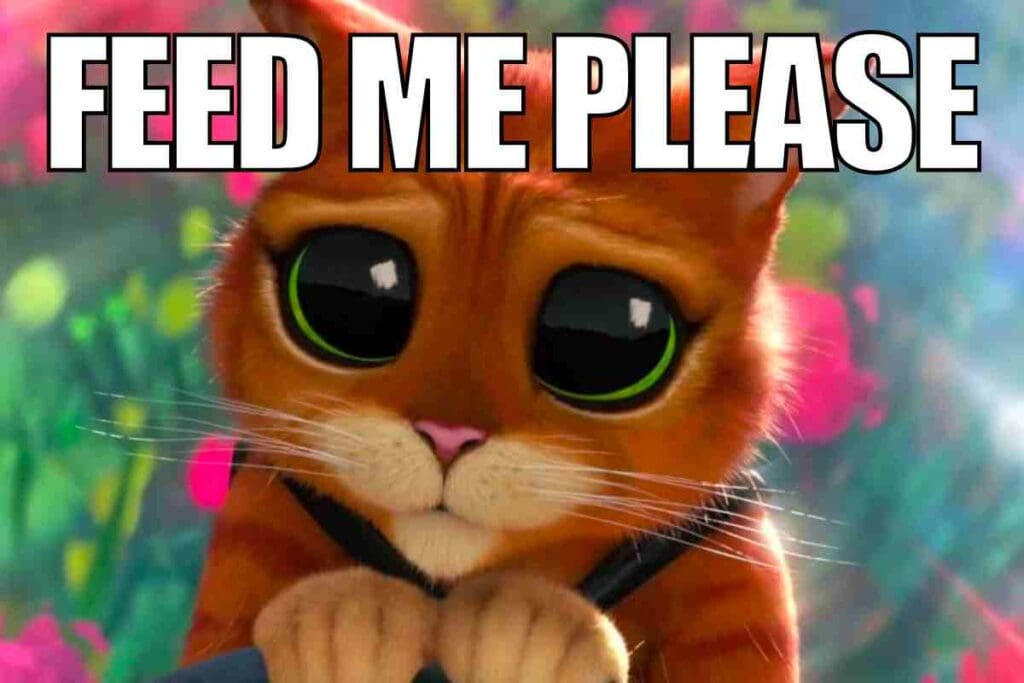 feed me meme feed me meme