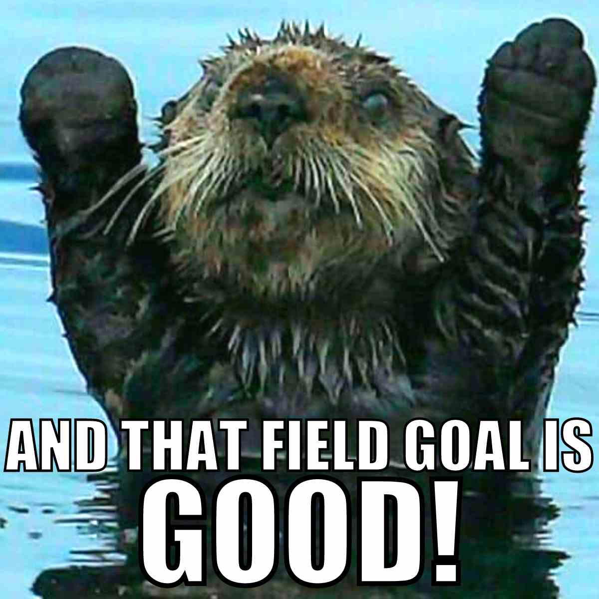 field goal meme field goal meme